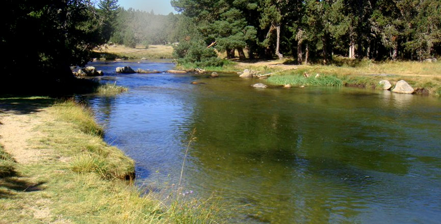 Au long du fleuve la Têt 